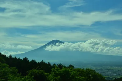 DSC_3667 (Large).JPG